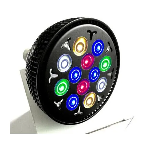Color 7