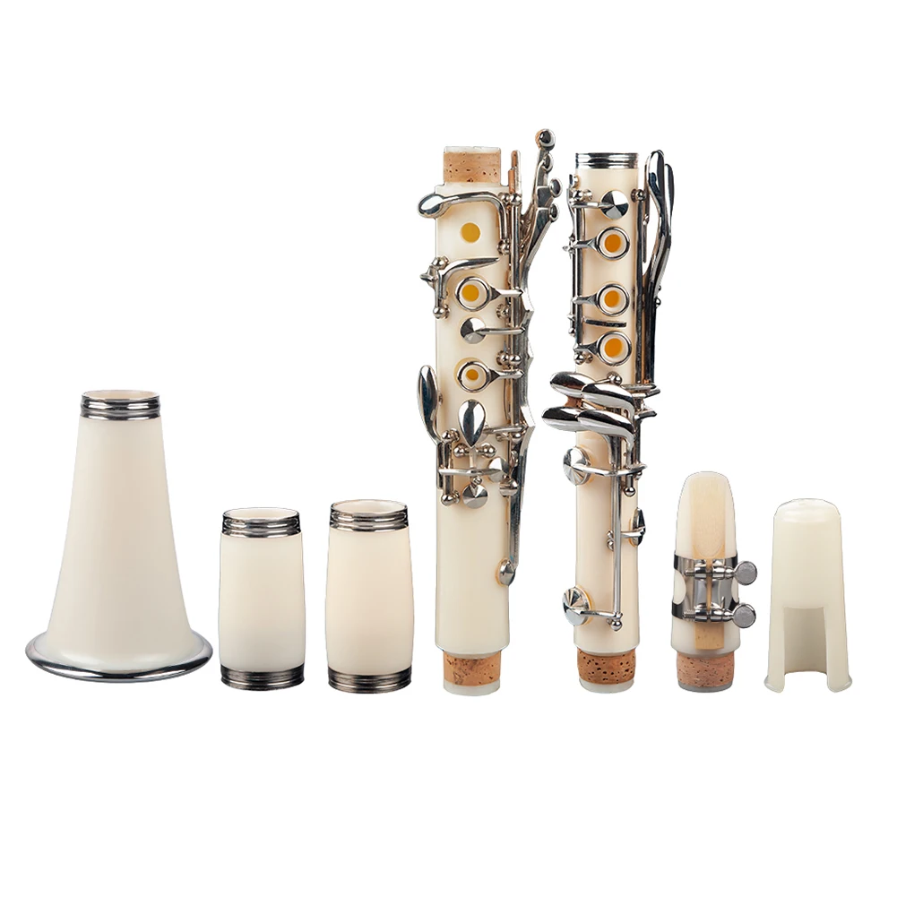 Professional 17 Key B Flat Clarinet Musical Instrument for Beginner Learner