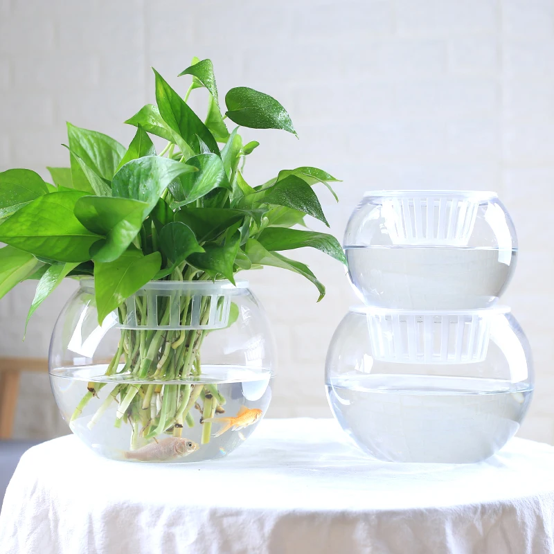 

Imitation Glass Transparent Self-Watering Flowerpot Planter Pots For Flowers Potted Automatic water-absorbing flowerpot