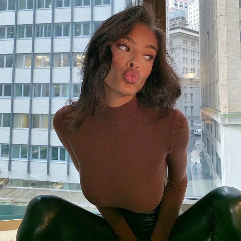 New Women's Autumn Solid Color Bottoming Shirt Long-sleeved High-neck Tight Knit Top Warm And Fashionable Pullover