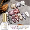 BORN PRETTY 1 Bottle Holo Reflective Glitter Cat Magnetic Gel Holographics Effect Silver Purple Soak Off UV Gel Varnish 6 Colors ► Photo 1/6