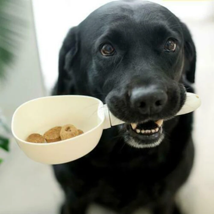 Горячий корм для домашних собак мерная ложка Взвешивание мерная чашка миска для питомца портативная для кухни