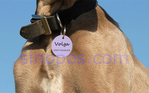 sinopos0600_20190530_153c