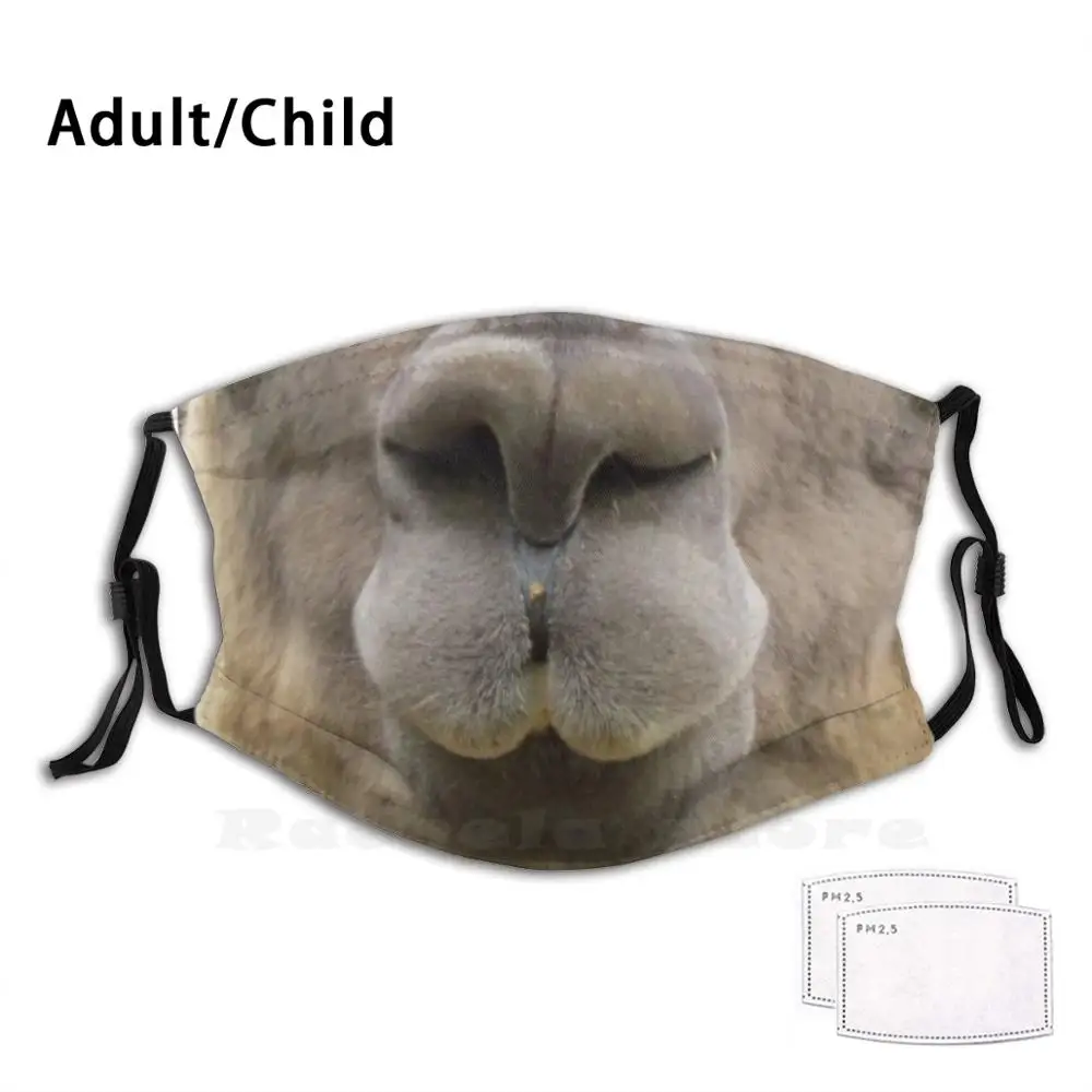 

Llama Face Mask Print Washable Filter Anti Dust Mouth Mask Lips Funny Quarantine Stay Safe Stay Home Nhs Nhs Heroes Introvert