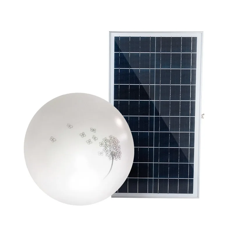 

Cross Border Acrylic LED Ceiling Lamp Bedroom Living Room Circle Ceiling Lamp Modern LED Solar Ceiling Lamp