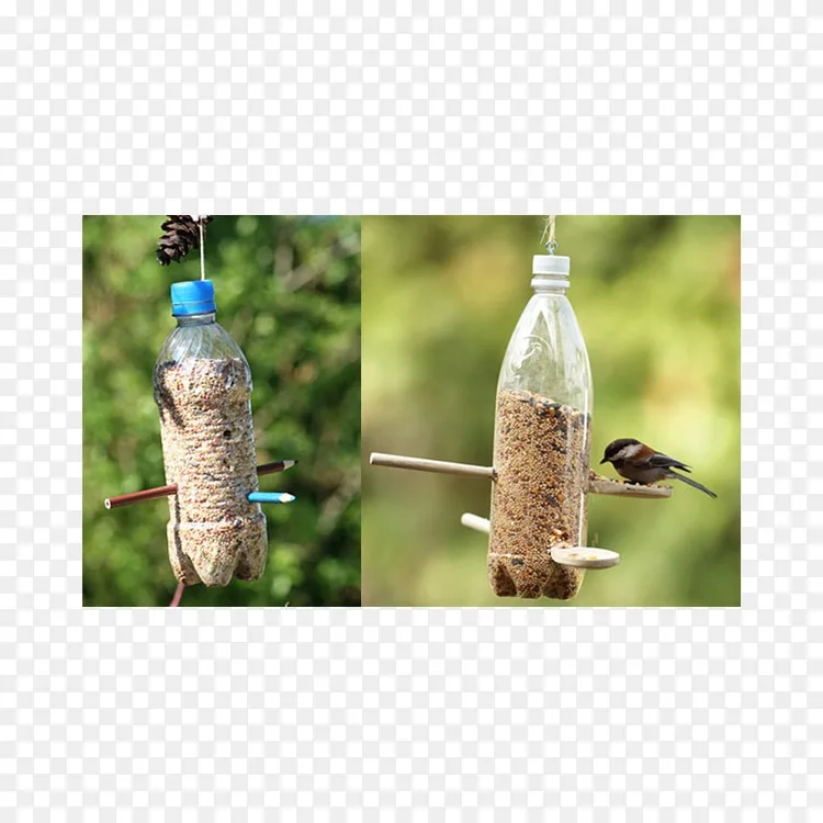 喂鸟器塑料瓶鸟喂食瓶回收 鸟png图片素材免费下载 图片编号2273412 Png素材网