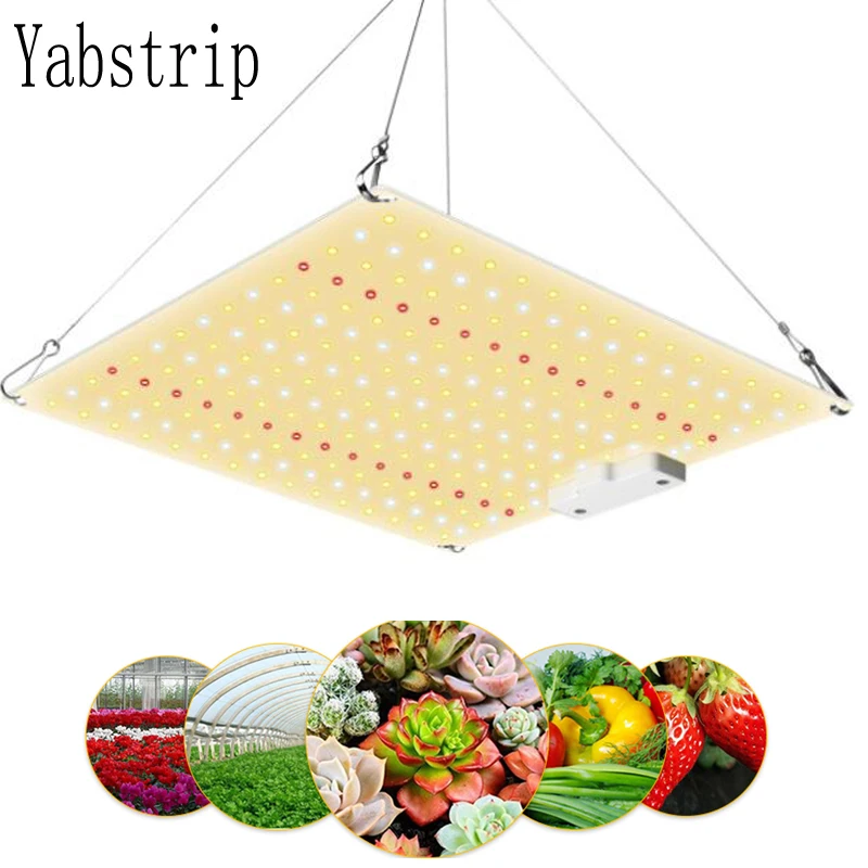 LED Plant Grow Light 2000W 1000W 600W Full Spectrum Phyto Lamp For indoor VEG Seedling Flower Growing Tent Fitolampy