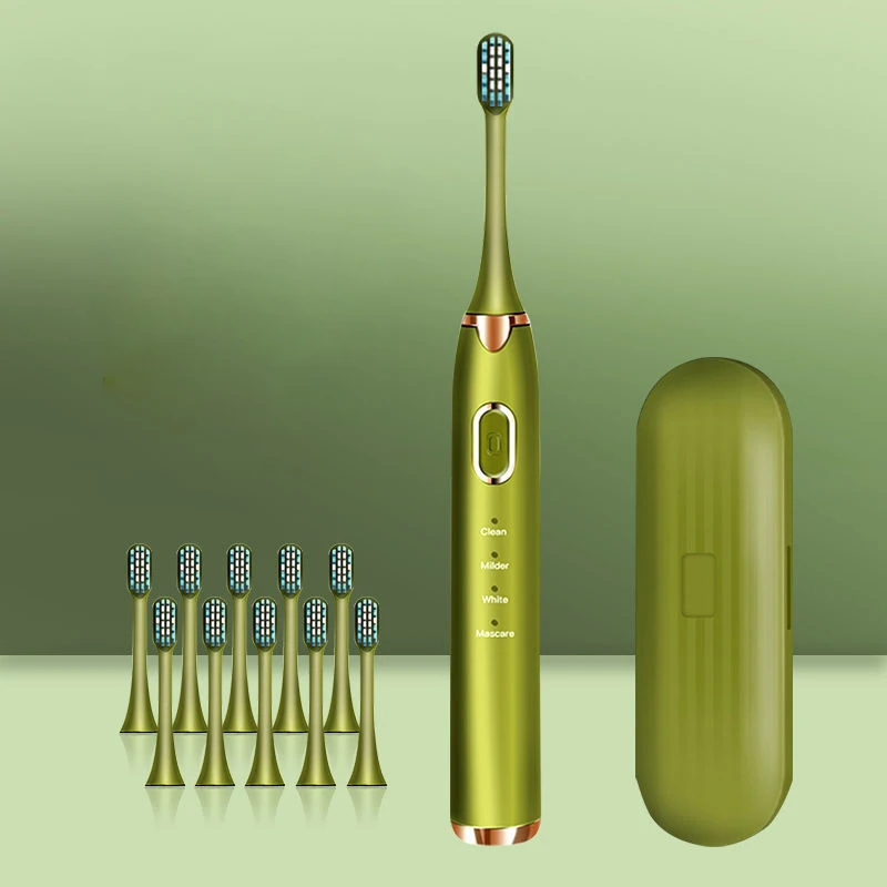 بالموجات فوق الصوتية فرشاة الأسنان الكهربائية BS-201 الكبار الموقت فرشاة 4 وضع USB شاحن قابلة للشحن IPX8 الأسنان فرش استبدال رؤساء مجموعة