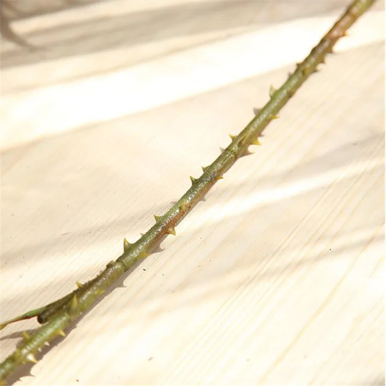 10Pcs European Fake Single Stem Round Rose 21.26" Length Simulation Melaleuca Roses Wedding Home Decorative Artificial Flowers