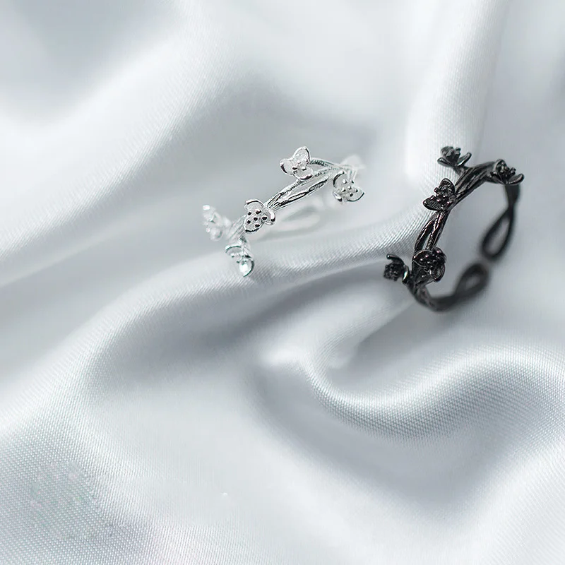 8519434596_334617663