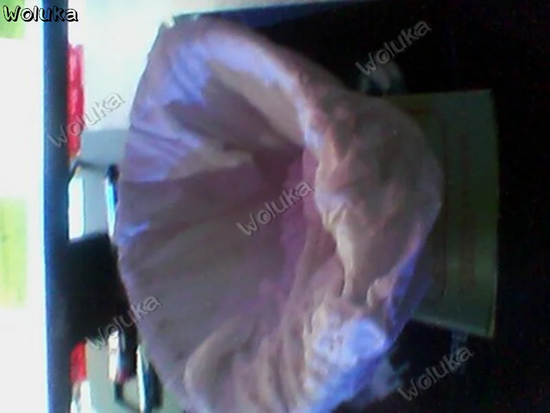 150mm maximum diameter 230vHPL750W imaging light reflective bowl light cup cold light cup glass coating CD50 W03