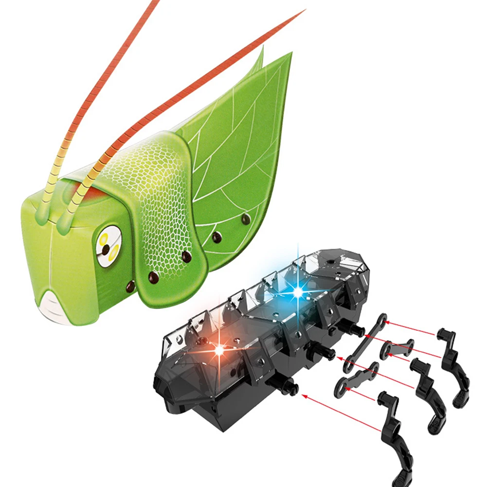 DIY Electric Walking Mantis Insect Sound Light Assembly Model Education Kids Toy