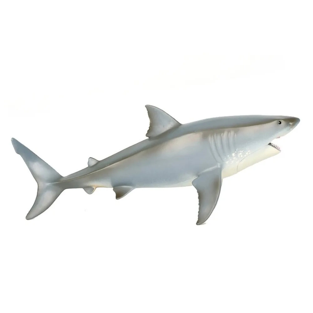 WY846700-C-20082503-1