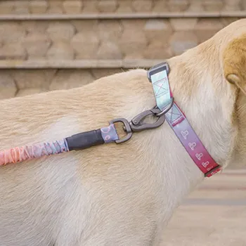 

Pet Dog Leash Durable Adjustable Nylon Leash For Dogs Extra Control Pet Dog Training Walking Leashes Traction Rope Products