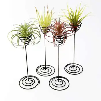 

Air Plant Stand Holder Air Plant Base Container Tabletop Planter Tillandsia Planter Racks(3 Pack)