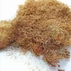 50G Diorama Simulation Grass DIY Model Making HO N Military Scene Model Material Wilderness Ruins Weed Hay Rrass Roots Landscape 2