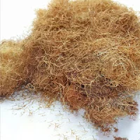 50G Diorama Simulation Grass DIY Model Making HO N Military Scene Model Material Wilderness Ruins Weed Hay Rrass Roots Landscape 2