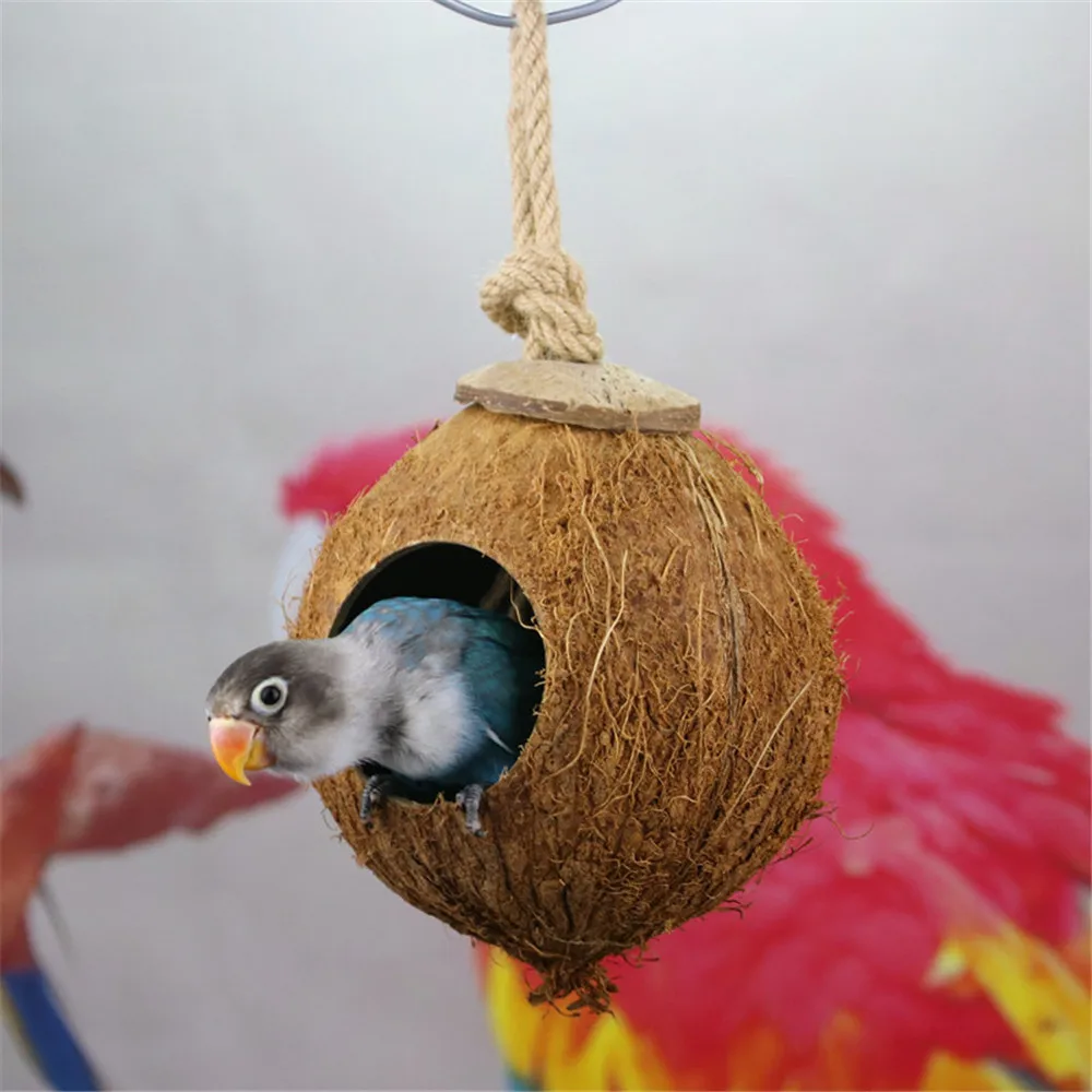 волнистый попугай гнездо для яиц. гнездо для птиц 5wb27. гнездо для волнистых попугаев. сплести гнездо для попугая корелла. как сделать гнездо для попугая своими руками.