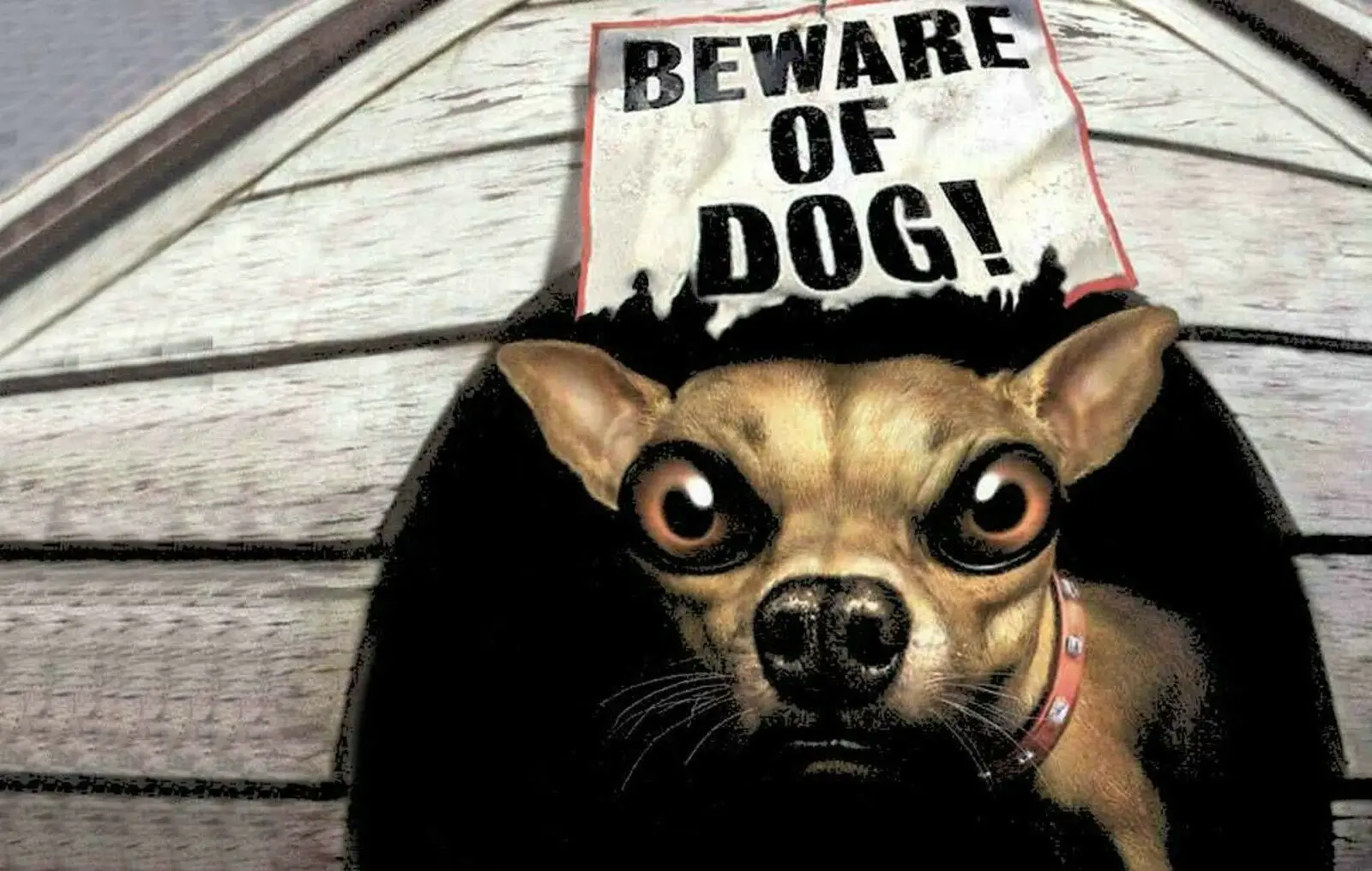 

Beware of Dog Picture Print Funny Animal Danger Warning Puppy