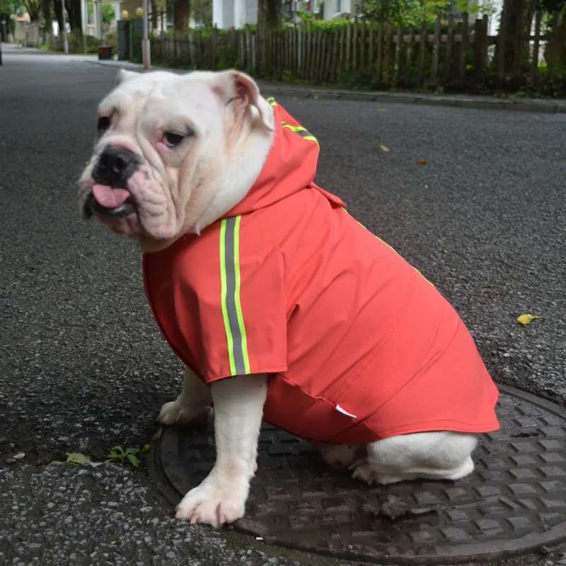 Bulldog Francese Impermeabile Pug Abbigliamento Per Cani Bulldog Inglese Pit Bull Terrier American Bully Pitbull Abbigliamento Cappotto Impermeabile O