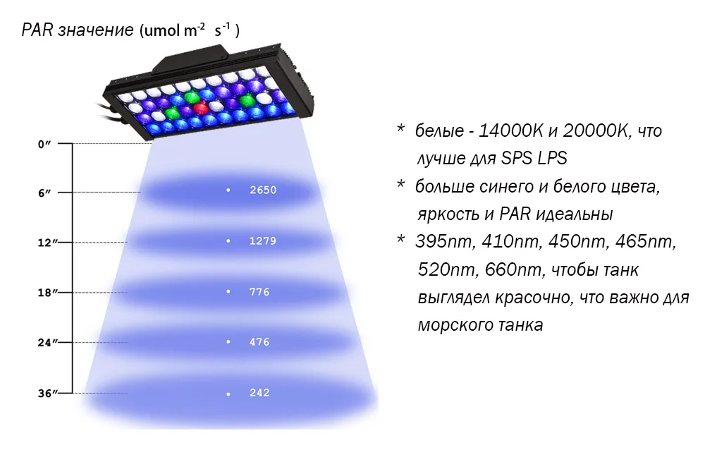 LED Layout2
