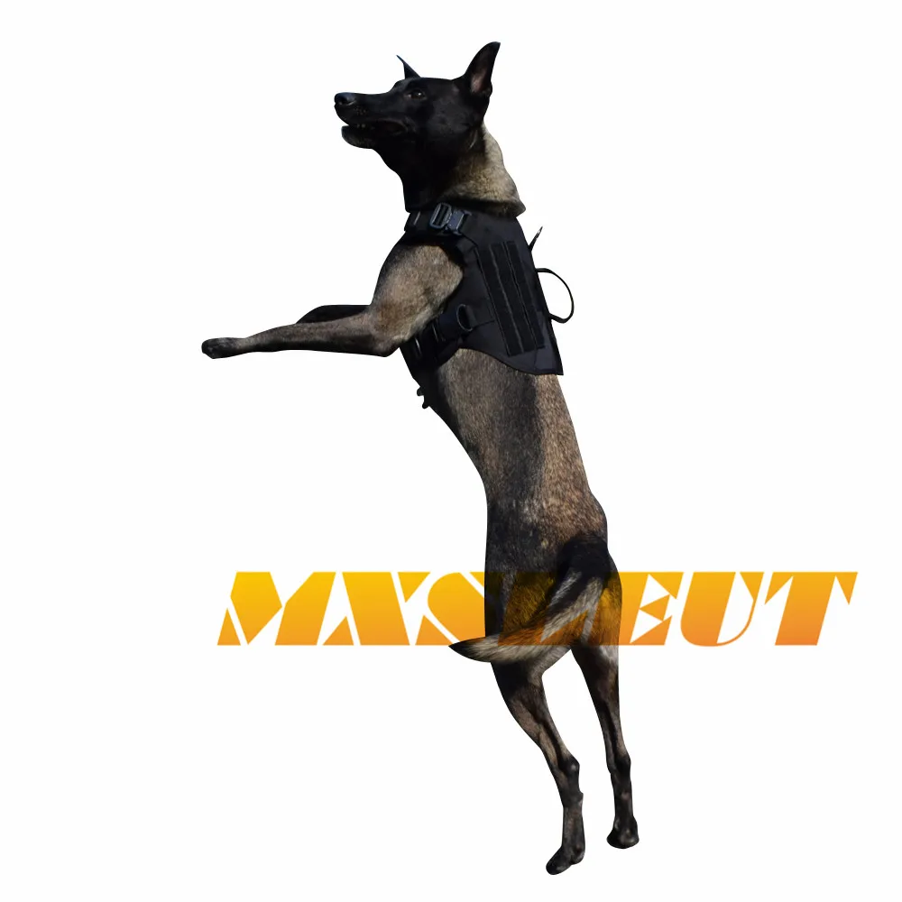 S (1)