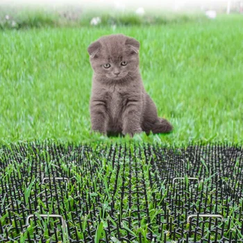 

30Pcs Balcony Anti-Cat Net Garden Anti-Cat Mat Flower Drive Cat Net Plastic Pet Anti-Cat Stab Mat Home Drive Animal Mat