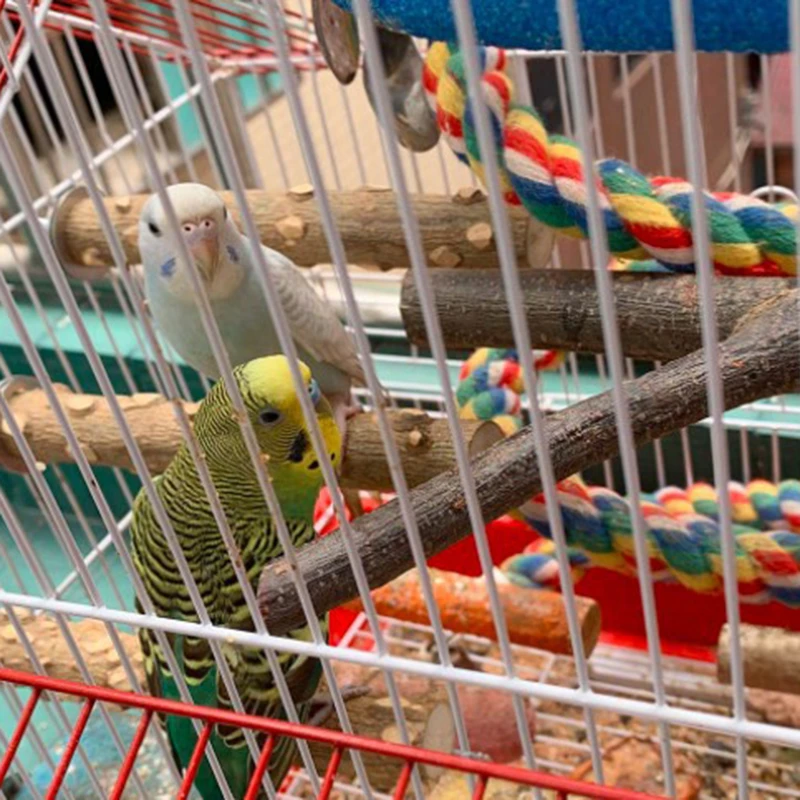 Perchas de madera Natural para de pájaros, juguetes para pájaros, perchas para periquito, ramas, jaula para pájaros, 20cm, 4 unids/set por juego|Juguetes para pájaros| - AliExpress