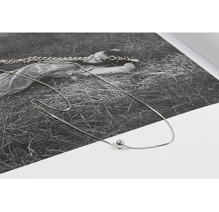 8616921262_1732139996