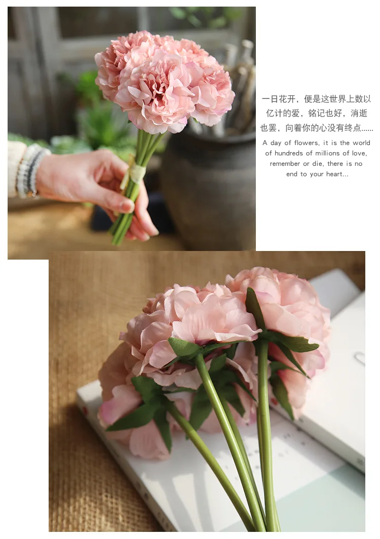 8572731728_1245478559