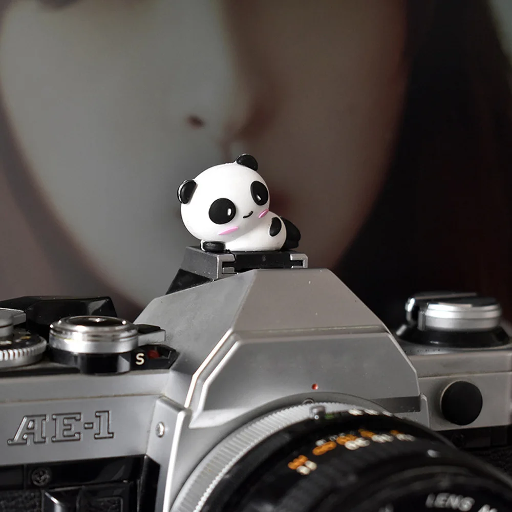 Gosear 3D милый кот типа горячий башмак Крышка для Nikon Canon Fujifilm samsung Panasonic Leica Olympus аксессуары для камеры