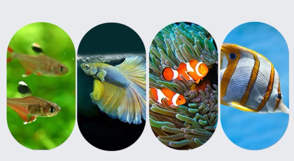 搜狗截图20年04月03日1516_11