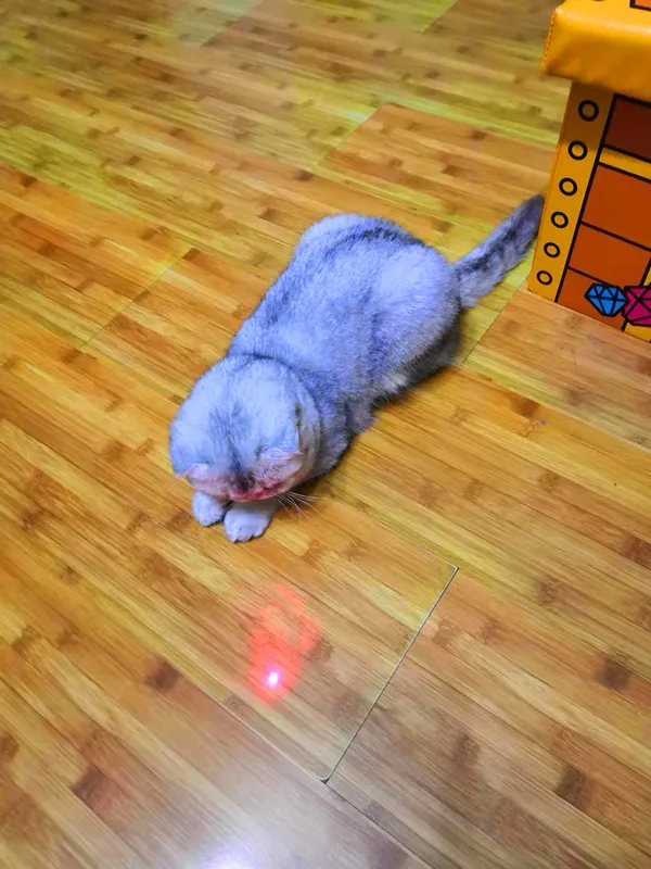 IMG_3671(20200618-160419)