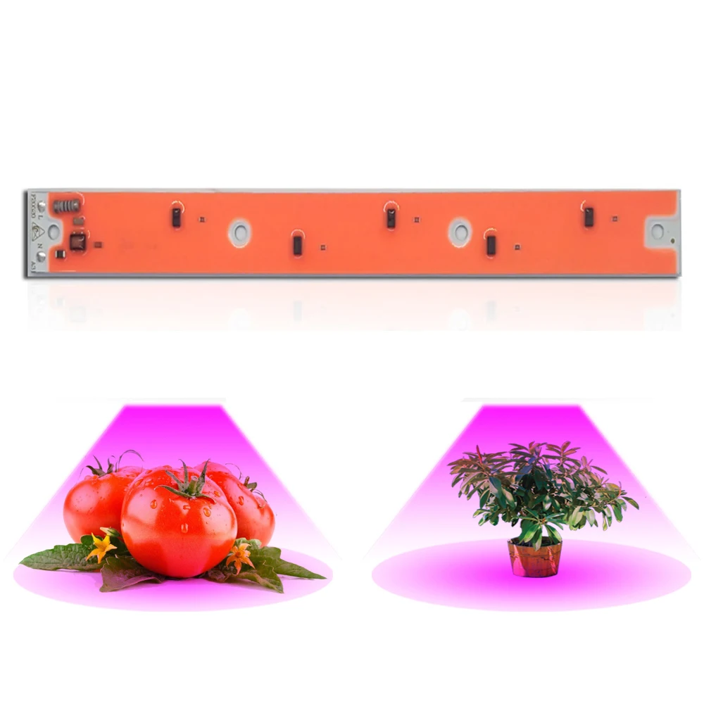 

30pcs LED CHIPS 30W 50W 80W Grow lights instead of sunlight full spectrum cob beads for diy floodlight growth lamp