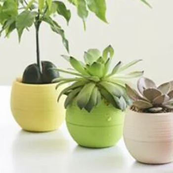 

Water Flower pot 4 colors Small Automatic 12Pcs Indoor/Outdoor Succulent