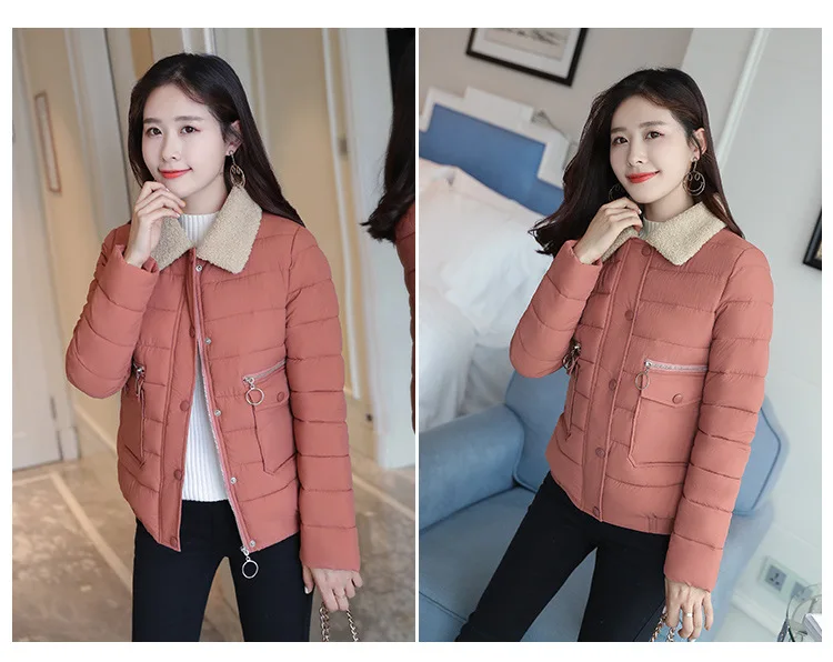 Cotton_16.jpg