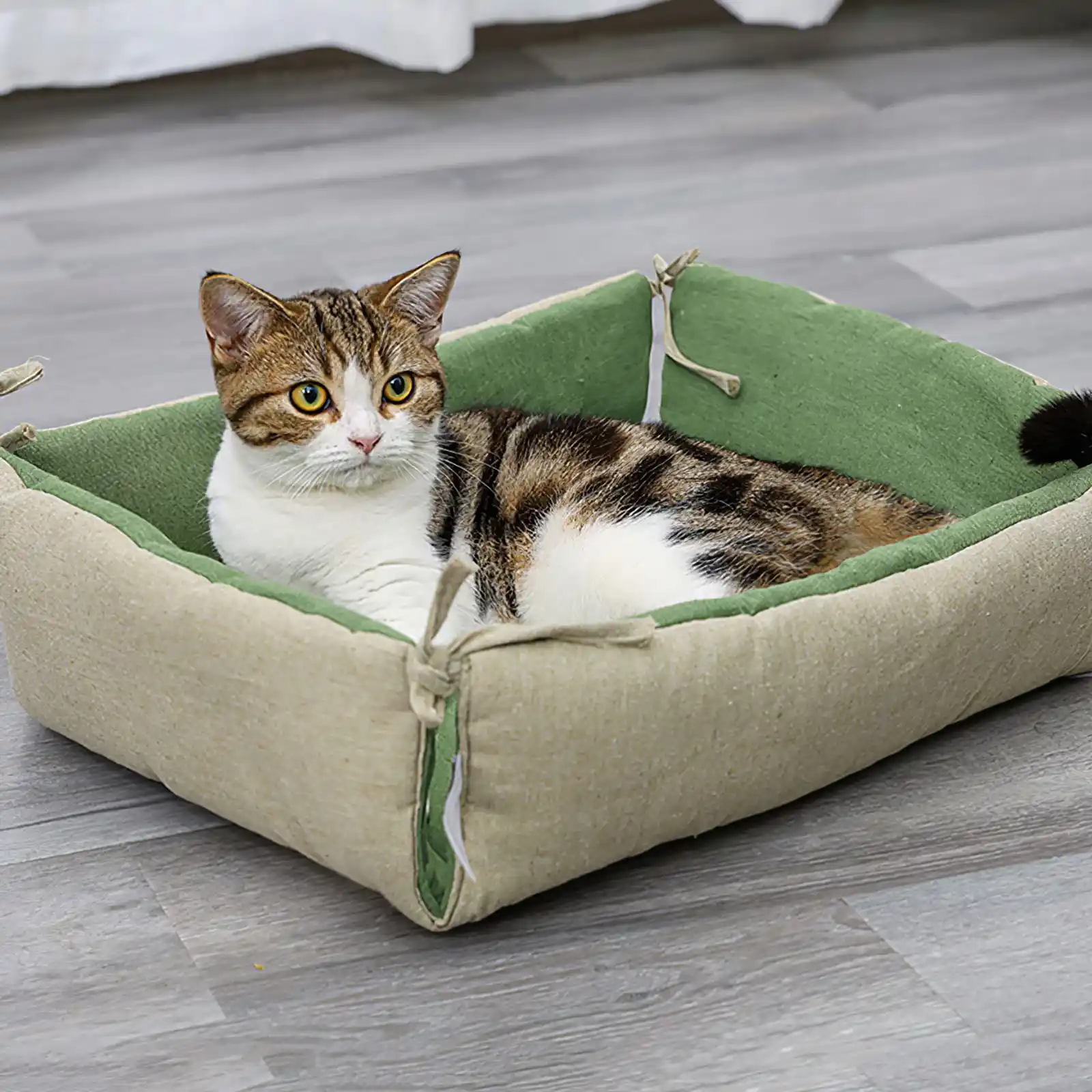 tsc dog beds