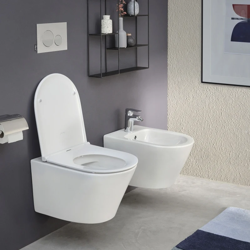 Toilet Bowl Suspension Jacob Delafon Rodin + Rimless With Seat Microlift Edy10200 E2328000