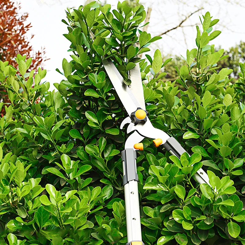 New DS 809S EFI PIN PadLock Unlock SN ICloud for