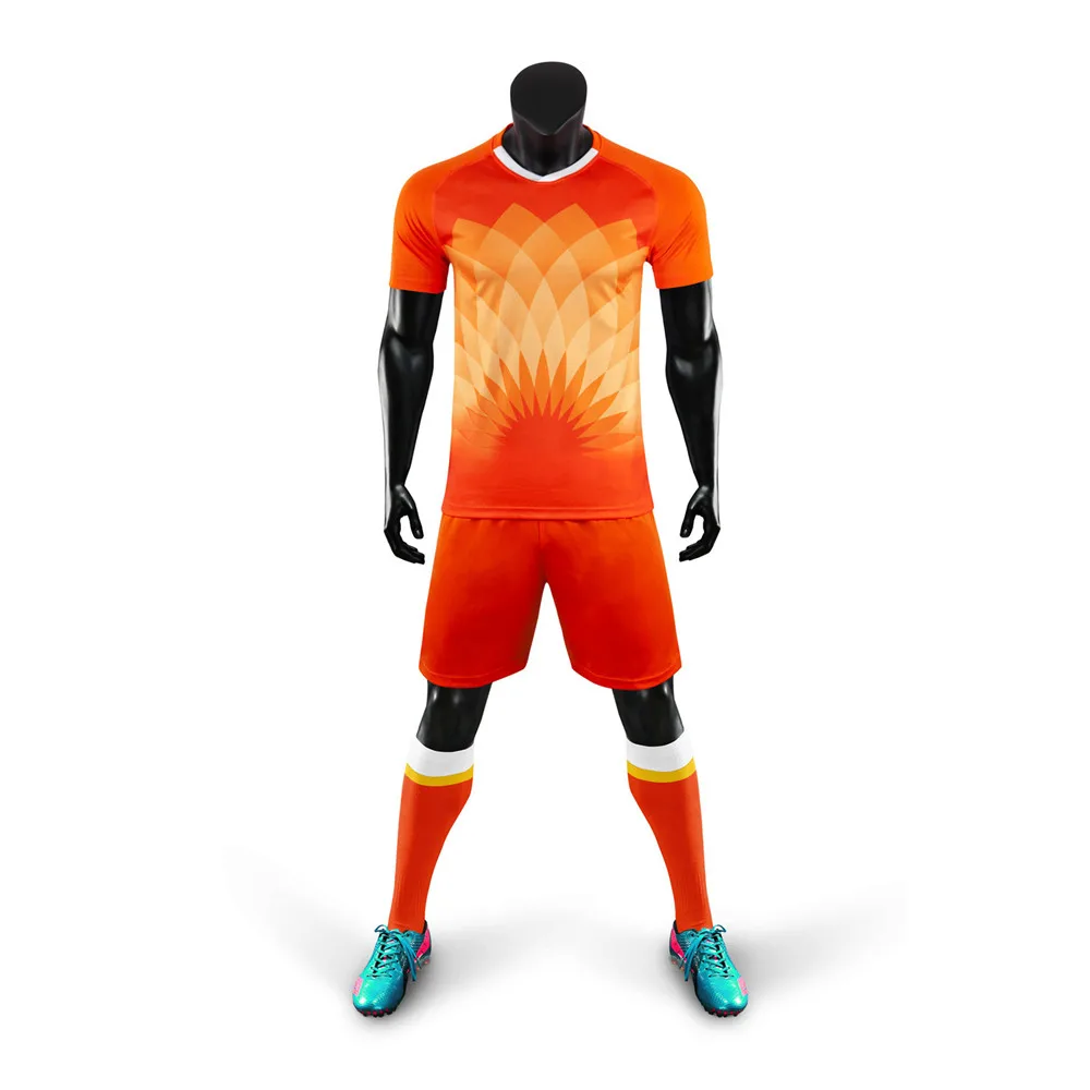 光板荷兰主场正面