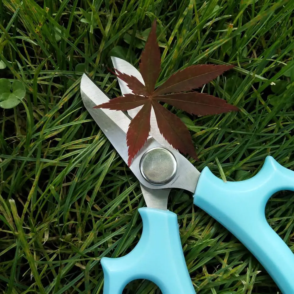 Floral-scissors-garden-shears-stainless-steel-color-garden-cut-flower-shop-flowers-pruning-shears-gardening-arrangement