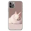 Mobile Phone Accessories