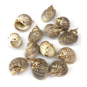 

Natural shell Conch Shells Pendants Charms Necklace Pendant for Jewelry Making DIY Accessories Fit Necklaces Size 20x28-30x38mm