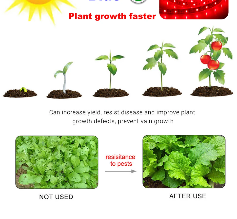 Promotes the flowering and fruiting and growth of plant, the specific red light grows faster,treatment of various plant diseases (4)