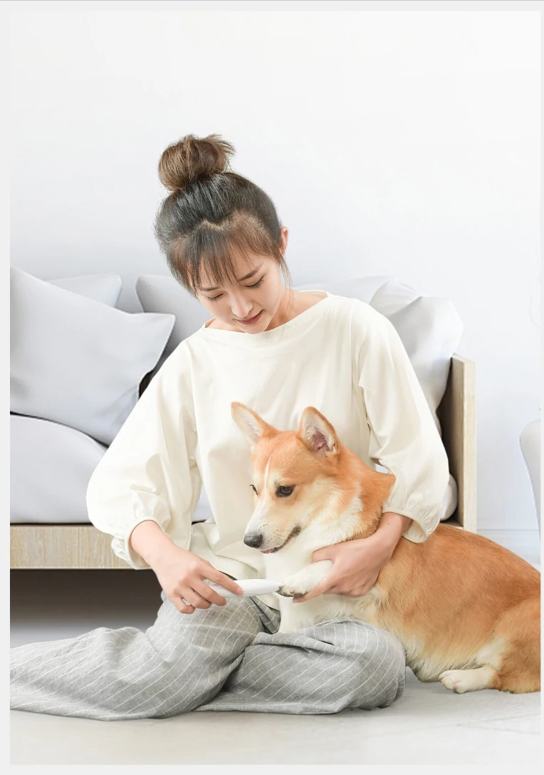 20190827_113052_002_04