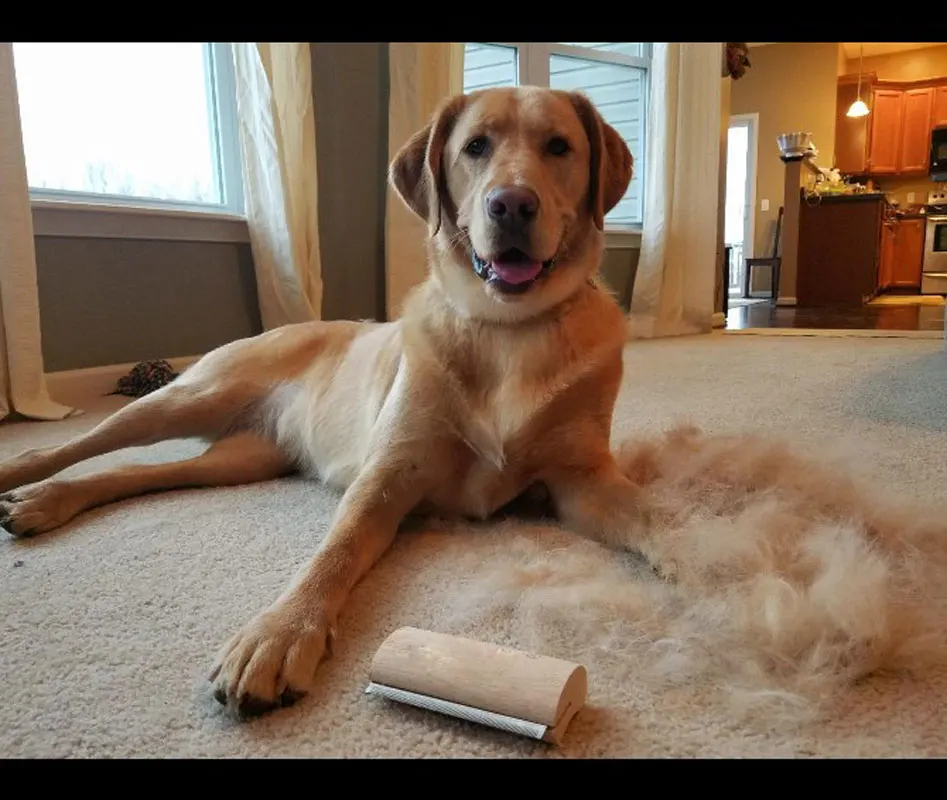 Brush Grooming-Tool Dog-Comb LOGO Pet Wood Deshedding Professional Ergonomic-Design Vis