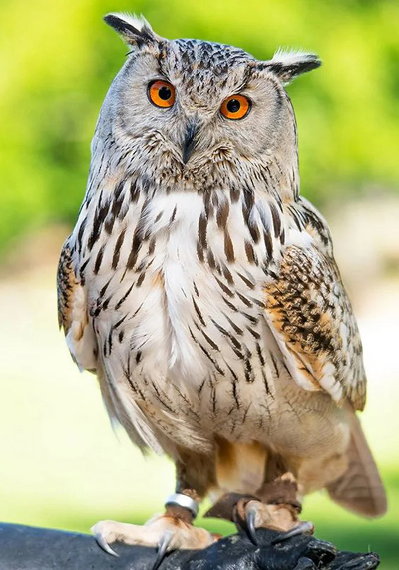 H8dfe92e7b0444f88991f5e553c9c95ebM