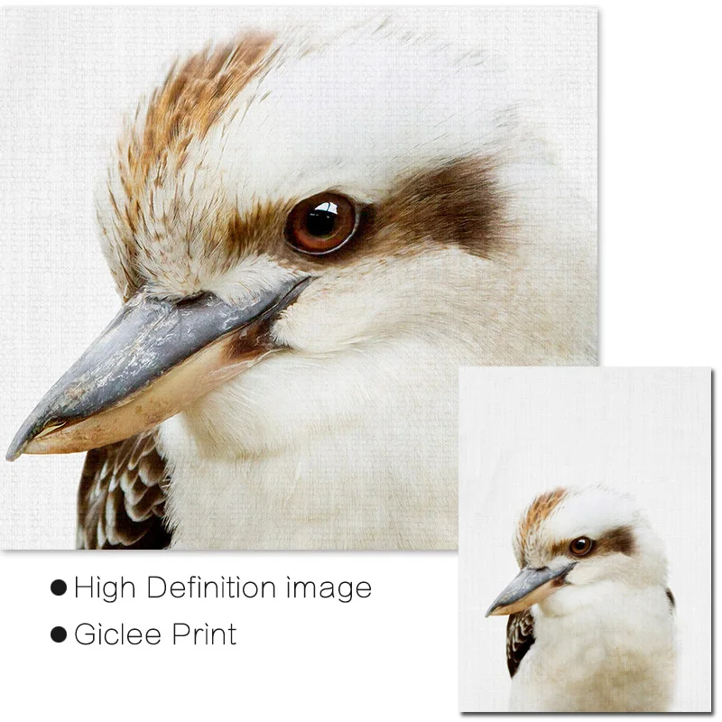 Kookaburra Австралийский декор для животных Детские постеры с принтом и картины на