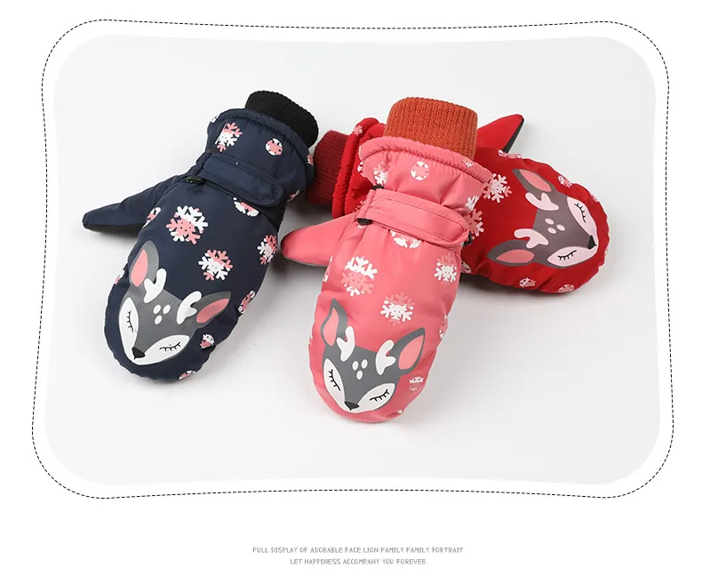 11319111070_1677106186