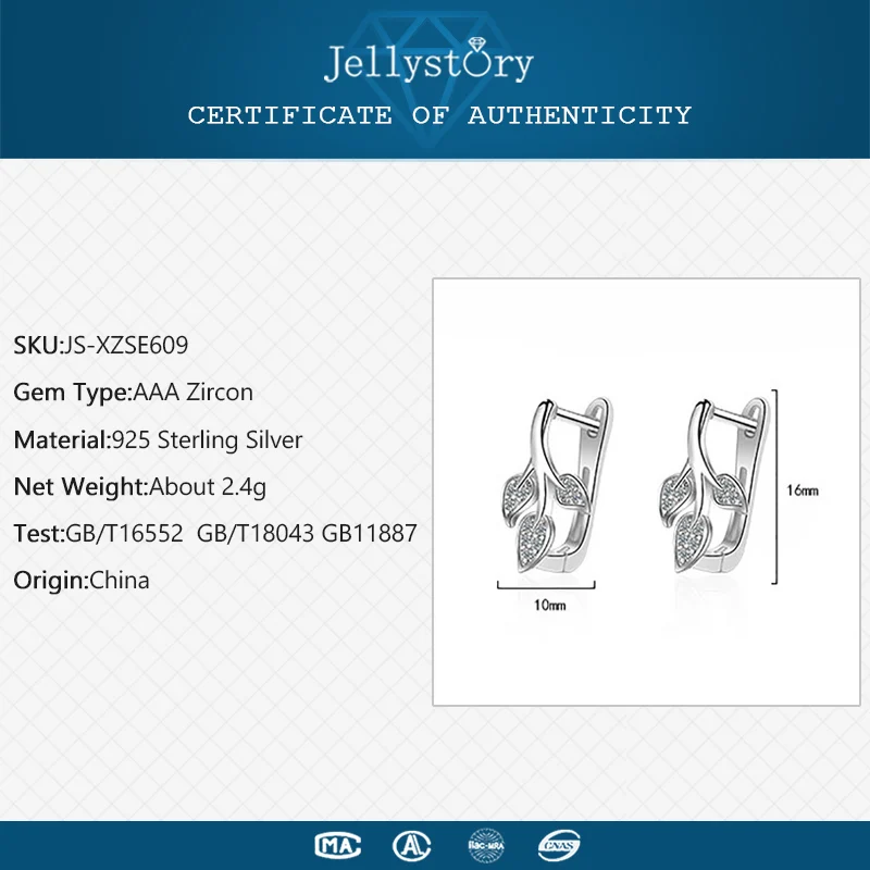 earring silver 925 jewelry for women 2